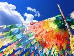 -塞罕坝国家级自然保护区