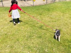 -前小桔亲子创意农场·草莓采摘·露营烧烤