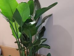 -Peet's 皮爷咖啡(海雅缤纷城店)