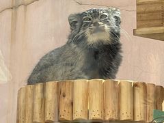 -青藏高原野生动物园