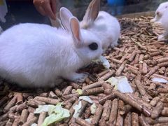 -正佳雨林生态植物园
