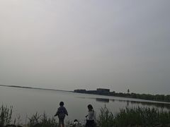 -漕湖湿地公园