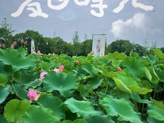 -嘉北郊野公园