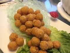 -迎晨餐厅(青芝坞店)