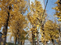 -两江幸福广场