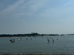 -日照世帆赛基地