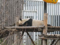 -大青山野生动物园