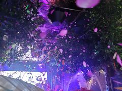 -9527星耀烧烤音乐酒馆