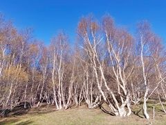 -百里天路