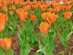 -长春公园(普阳街道)