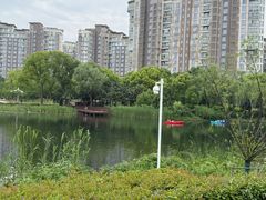-新江湾城公园