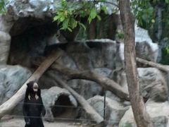 -清迈夜间动物园