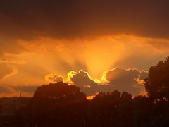 -浦江镇(地铁站)