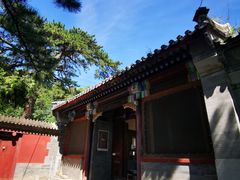-阳台山自然风景区