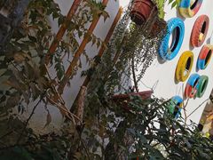-美味之家·湖景农家乐(太湖东山店)