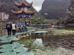 -靖西鹅泉风景区