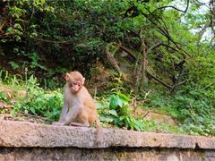 -黔灵山公园