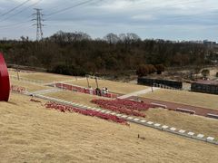 -佛手湖郊野公园