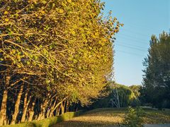 -长白岛森林公园