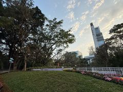 -九龙公园