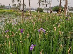 -南海湾森林生态园
