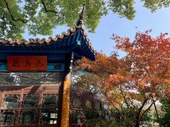 -西湖游船