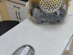 -瑞派长江宠物医院·猫科·外科·24小时夜护(谊城公寓分院)