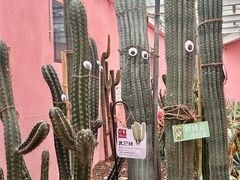 -正佳雨林生态植物园