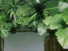 -漫笙舍Manse·咖啡·民宿