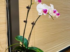 -一石三鸟烧鸟居酒屋(南桥美谷店)