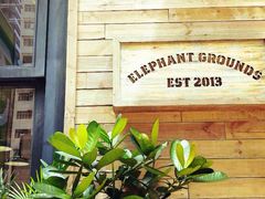 -Elephant Grounds(STARSTREET)