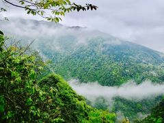 -井冈山风景名胜区