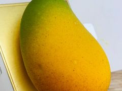 一颗芒果-日尝·叶子家(万联城店)