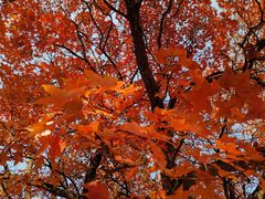 -长辛店二七公园