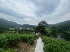 -十里琅珰