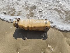 -东郊椰林