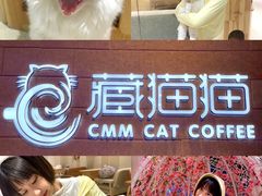 -藏猫猫咖啡主题馆(中央大道店)
