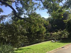 -墨尔本皇家植物园