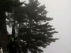 -尧山风景区