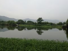 -长兴太湖图影湿地文化园