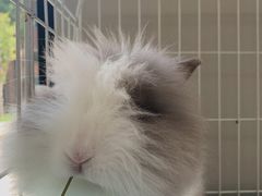 -小意思咖啡店(草桥店)