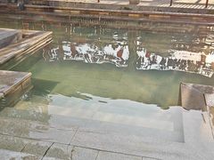 -咸宁万豪温泉谷度假区