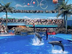 -海合安成都极地海洋公园