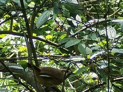 -桤木河湿地公园