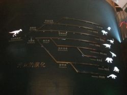 -世界恐龙谷