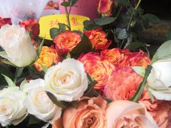 -循礼门鲜花花市(武汉循礼门店)