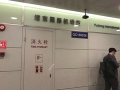 -浦东1号2号航站楼(地铁站)