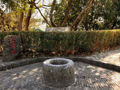 -上海佘山国家森林公园天马山园