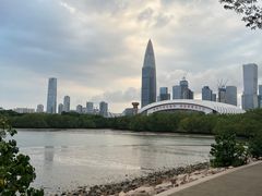 -深圳湾公园(南山区)