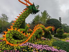-南山植物园